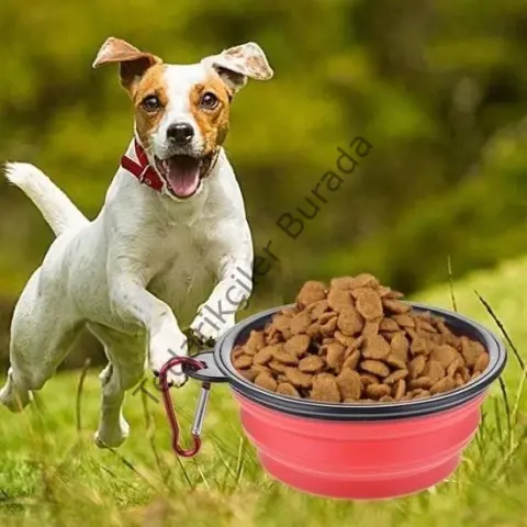 Katlanabilir Kedi Köpek Mama ve Su Kabı Köpek Oyuncağı