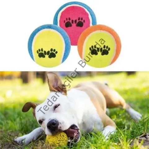 3lü Renkli Desenli Tenis Topu Kedi Köpek Oyuncağı