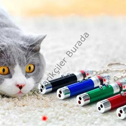 3 Fonksiyonlu Kırmızı Beyaz Işıklı Led Lazer Kedi Köpek Oyuncak Anahtarlık - 1 Adet Stokta Olan Renk Gönderilir