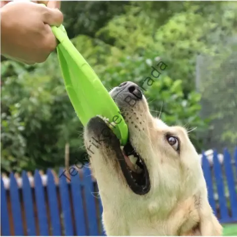 Silikon Frizbi Köpek Oyuncağı