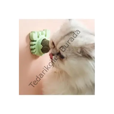 Yengeç Kedi Otu Oyun Topu