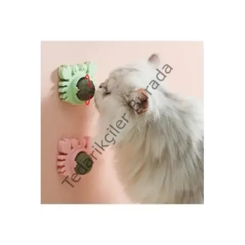 Yengeç Kedi Otu Oyun Topu