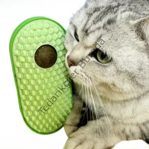 Silikon Kaşıyıcılı Kedi Otu
