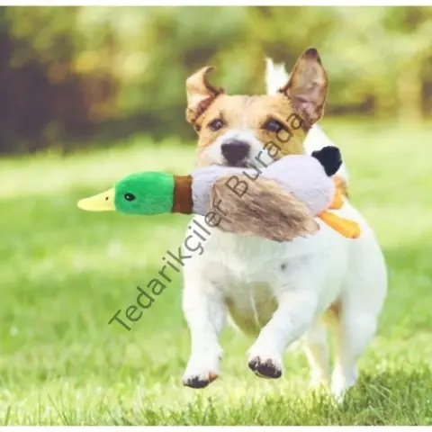 Sesli Ördek Şekilli Peluş Köpek Oyuncağı