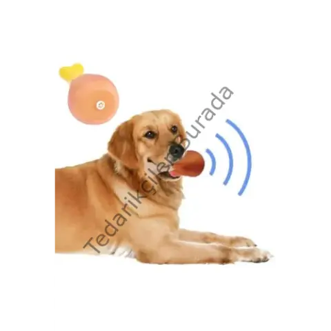 Köpekler İçin Sesli Oyuncak Tavuk Butu