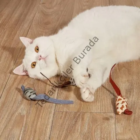 Peluş Fare Kedi Oyuncağı 3 Adet
