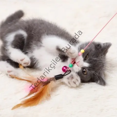 Kedi Oyun Oltası 90 cm