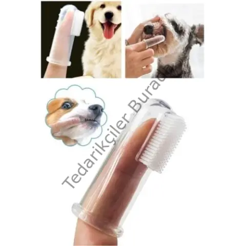 Kedi Köpek Diş Temizleme Fırçası