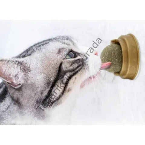 Kedi Otu Oyun Topu