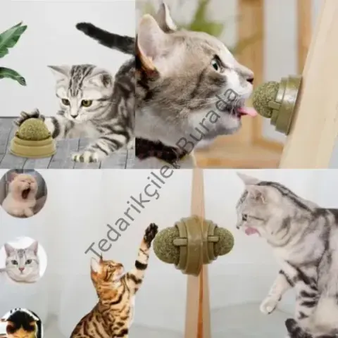 Kedi Nanesi Oyun Topu