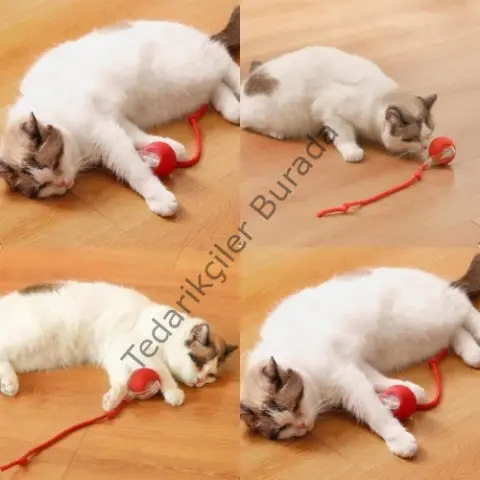 Şarjlı Kedi Oyuncağı