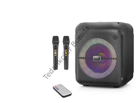 Çift Karaoke Mikrofonlu Bluetooth Hoparlör Fm Radyo 20W 10.5 İnç Rgb Kumandalı Siyah NDR2210
