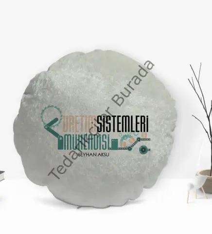 Kişiye Özel İsimli Üretim Sistemleri Mühendisi Tasarımlı Dekoratif Kırlent Yastık-1