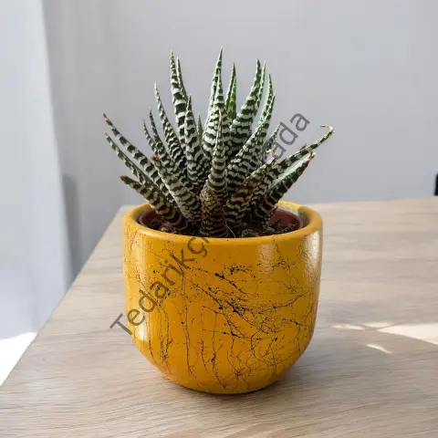 Dekoratif Beton Saksılık - Mermer Efektli - 8 cm Üretim Saksı için Saksı Kabı SARI