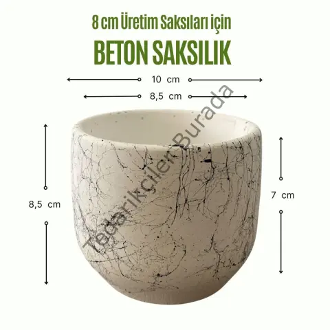 Dekoratif Beton Saksılık - Mermer Efektli - 8 cm Üretim Saksı için Saksı Kabı SARI