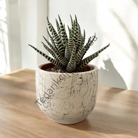 Dekoratif Beton Saksılık - Mermer Efektli - 8 cm Üretim Saksı için Saksı Kabı BEYAZ