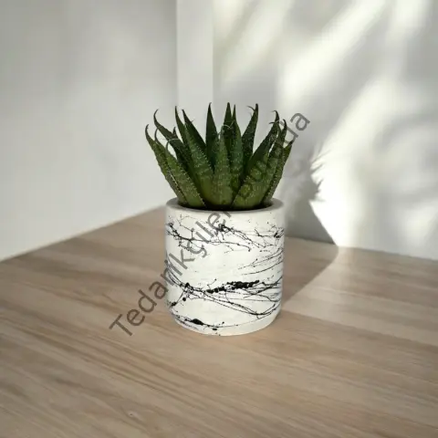 Küçük Boy Mermer Desen BEYAZ Beton Saksı 5,5 cmlik