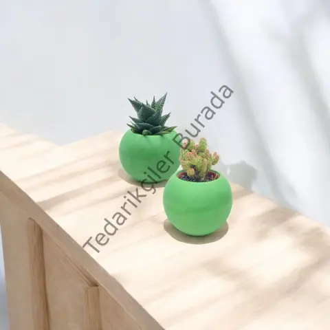 Küçük Boy İnci Beton Saksı 2 ADET YEŞİL
