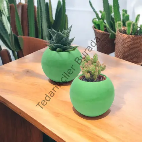 Küçük Boy İnci Beton Saksı 2 ADET YEŞİL