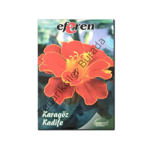 Karagöz Kadife Çiçeği Çiçek Tohumu