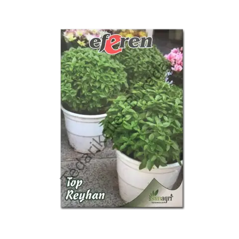Top Reyhan Çiçeği Çiçek Tohumu