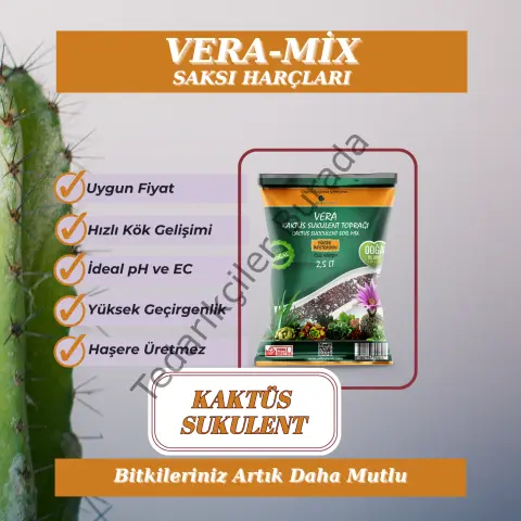 Kaktüs Sukulent Toprağı 2.5 Litre