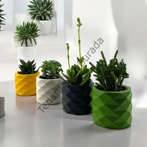 Vera-Stone 4`lü Piramit Beton Kaktüs ve Sukulent Saksısı