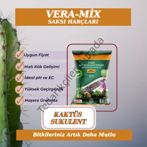 Kaktüs Sukulent Toprağı 10 Litre