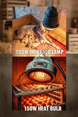 (6 Adet) 150W Kızılötesi Isıtıcılı Hayvan Isıtma ve Kuluçka Lambası (Kırmızı Işık) E27 (Kalın Duy)